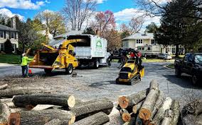 Reliable Brambleton, VA Tree Services Solutions